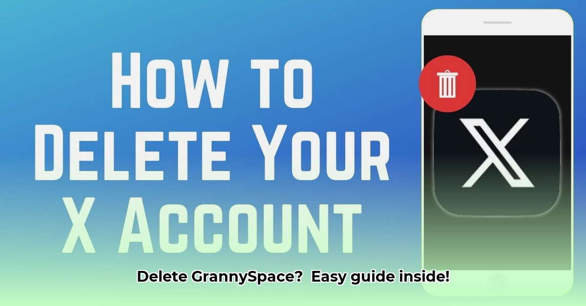 granny-space-delete-account